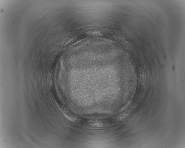 X0000072540658200608041623