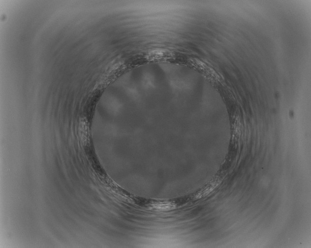 X0000072540659200608041623