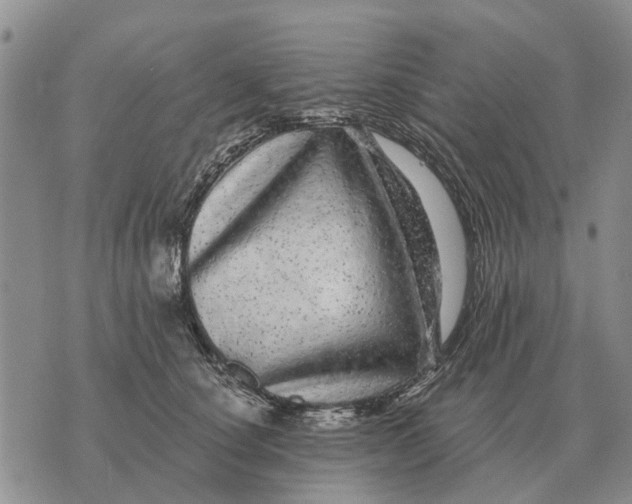 X0000072540660200608041624