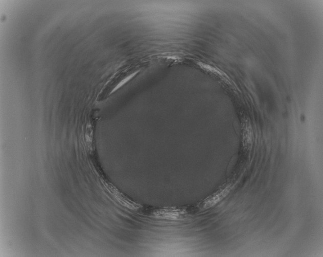 X0000072540661200608041624