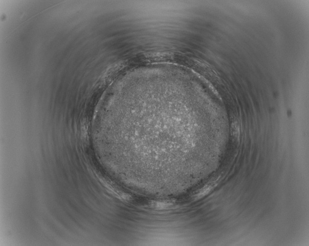 X0000072540662200608041624