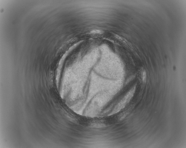 X0000072540664200608041624