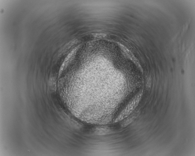 X0000072540666200608041624