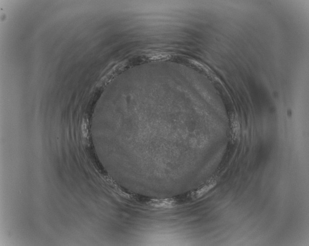 X0000072540667200608041624