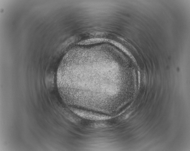 X0000072540668200608041624