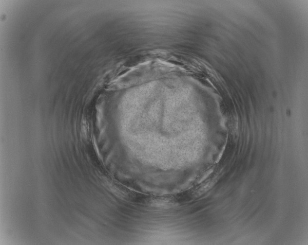 X0000072540669200608041624