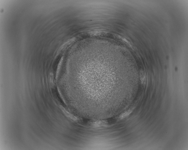 X0000072540670200608041624