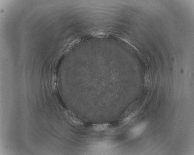 X0000072540671200608041624