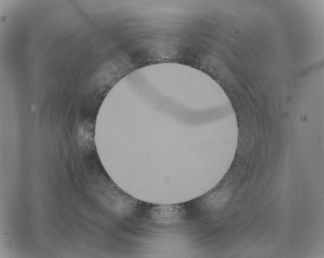 X0000072540672200608041624