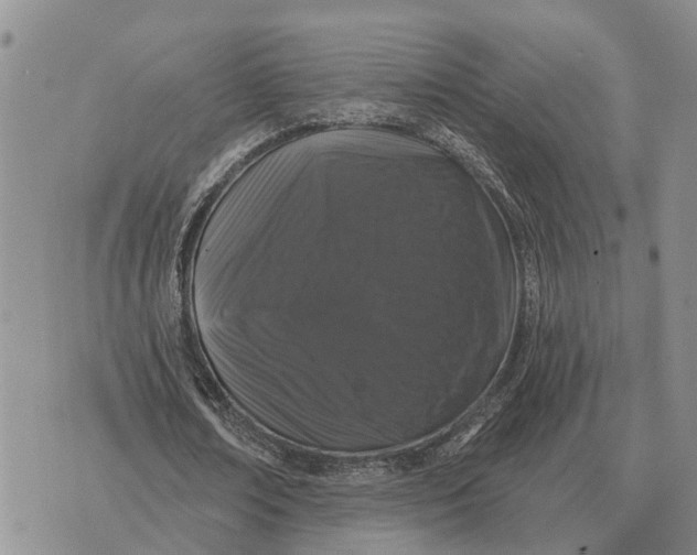 X0000072540674200608041623