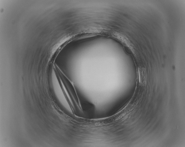 X0000072540675200608041623