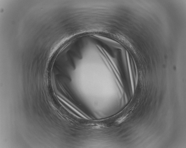 X0000072540676200608041623