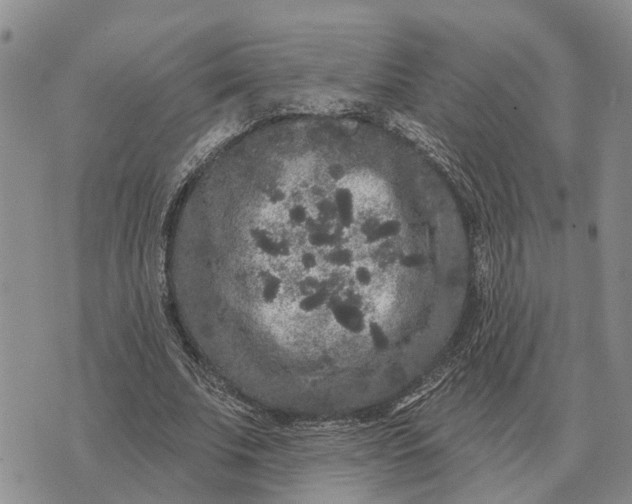 X0000072540679200608041623