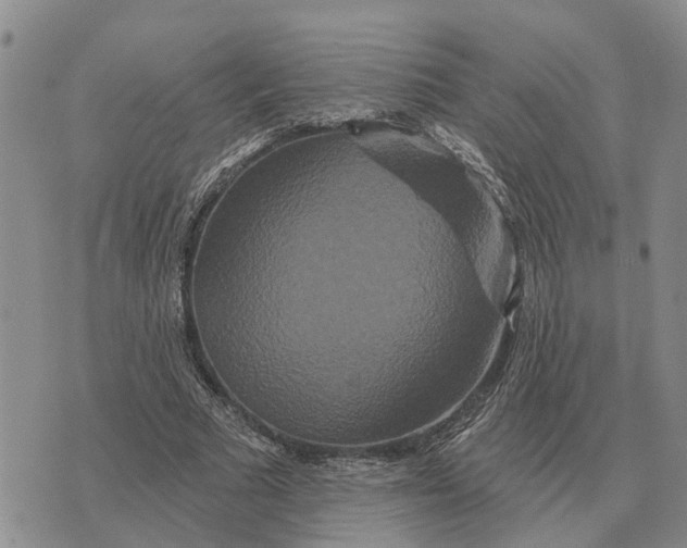 X0000072540681200608041623