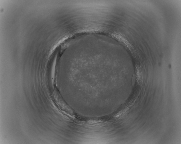 X0000072540684200608041623