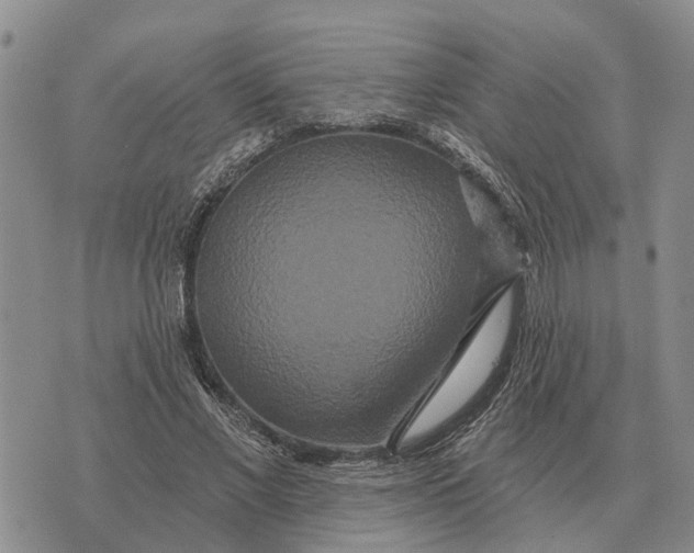 X0000072540685200608041623