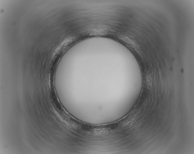 X0000072540686200608041623