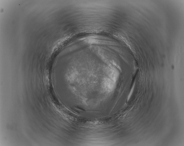 X0000072540688200608041623