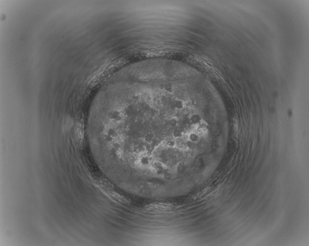 X0000072540691200608041623