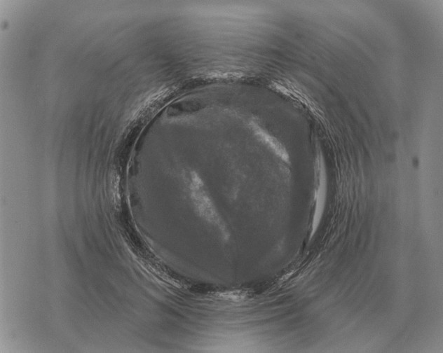 X0000072540692200608041623