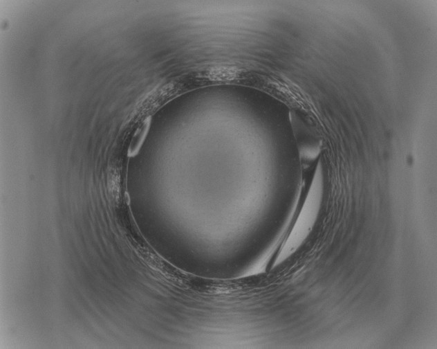 X0000072540697200608041623
