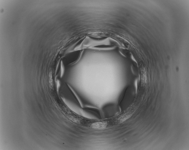 X0000072540700200608041622