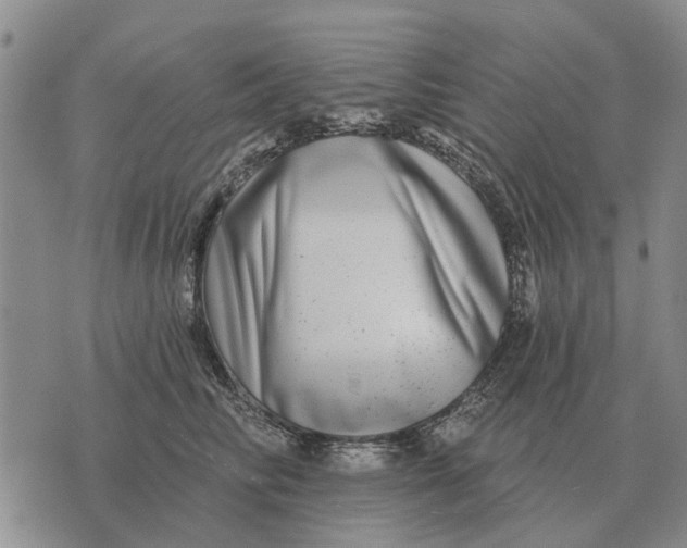 X0000072540710200608041622