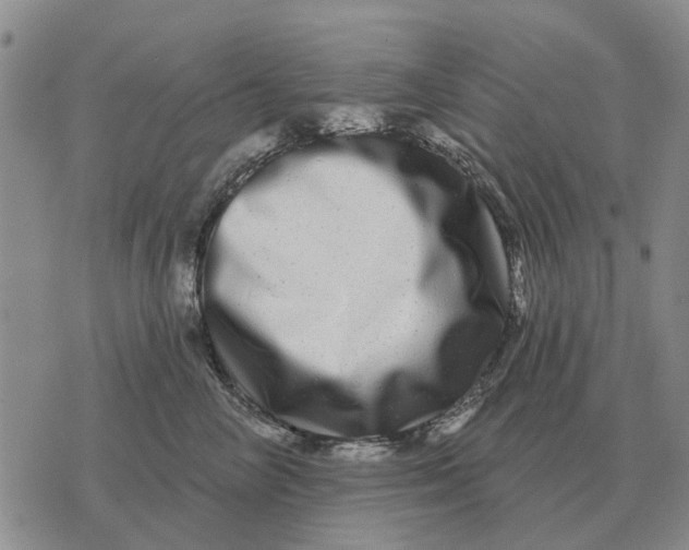 X0000072540714200608041622