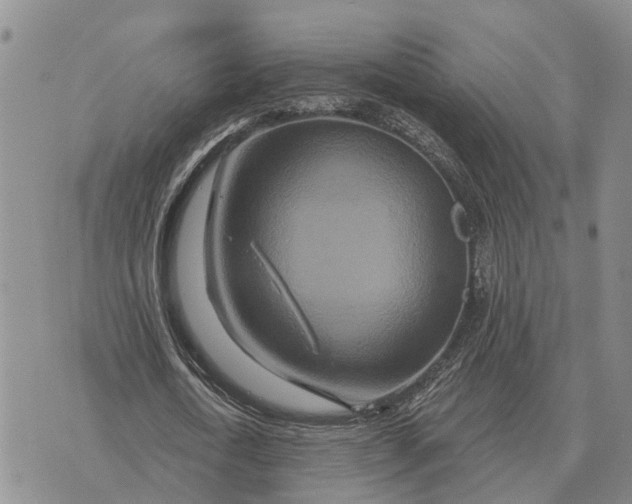 X0000072540722200608041621
