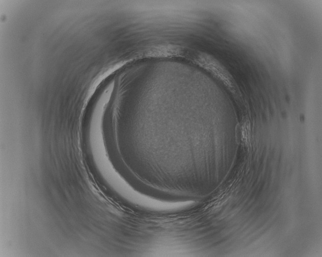 X0000072540724200608041621