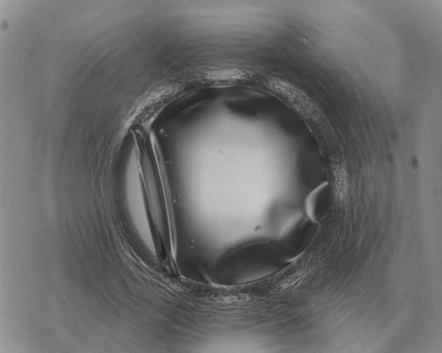 X0000072540731200608041622