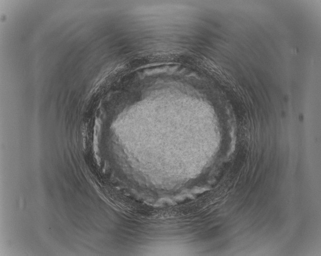 X0000072540742200608041622