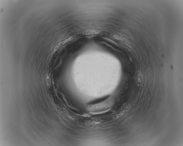 X0000072540743200608041622