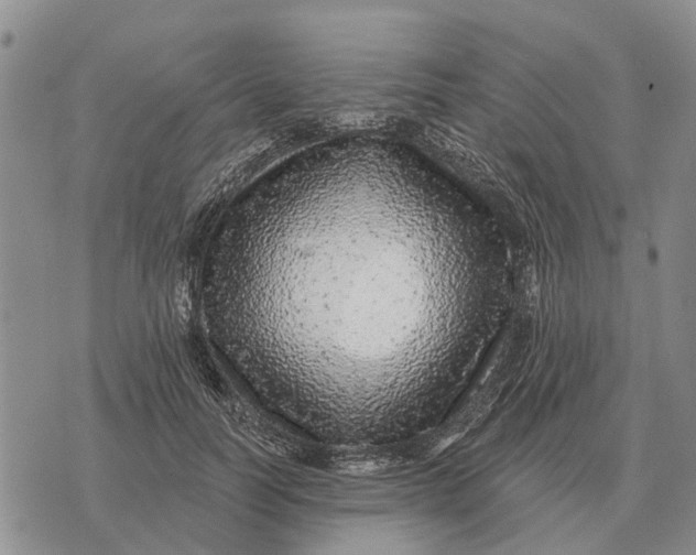 X0000072540746200608041622