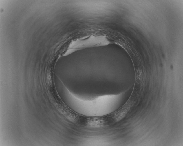 X0000072540754200608041622