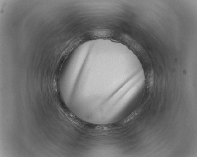 X0000072540764200608041622