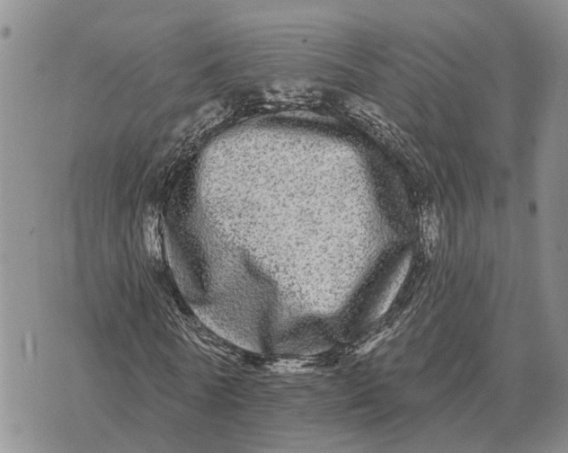 X0000072540770200608041621