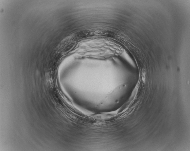 X0000072540771200608041621