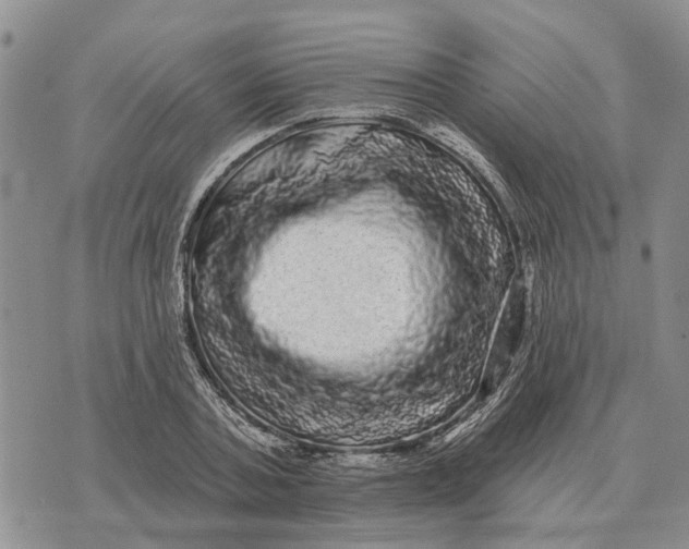 X0000072540787200608041621
