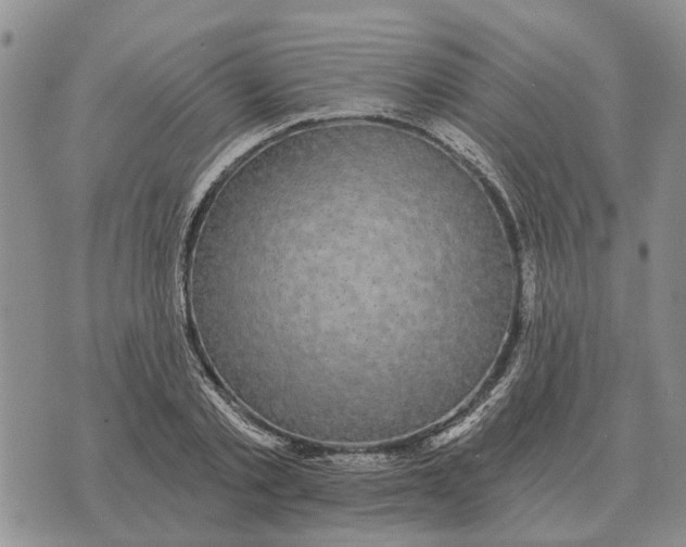 X0000072540789200608041621