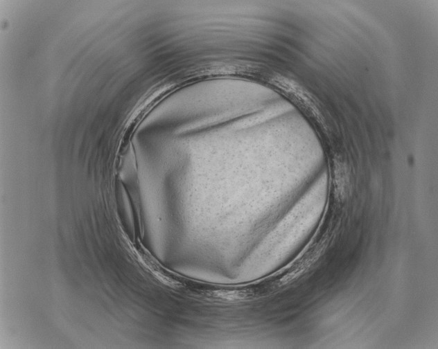 X0000072540794200608041621