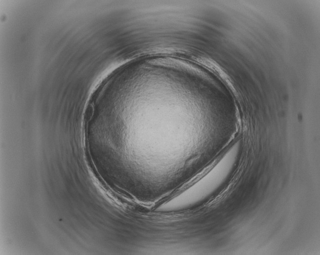 X0000072540795200608041621