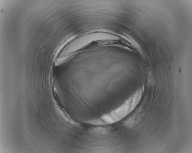 X0000072540806200608041621