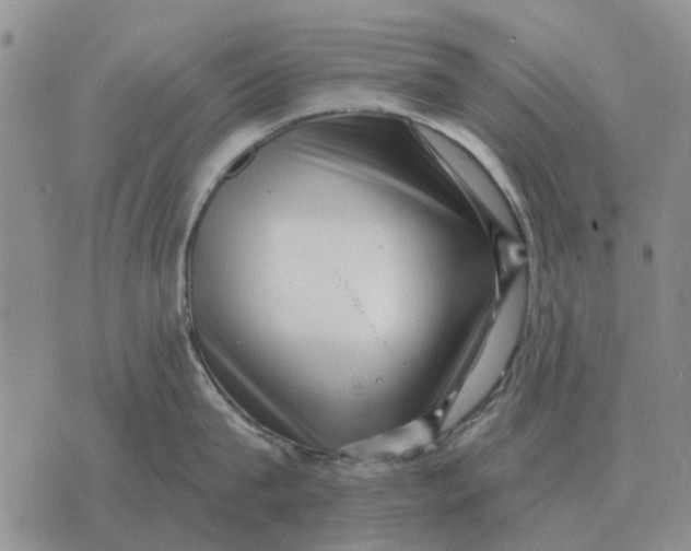 X0000072540815200608041621
