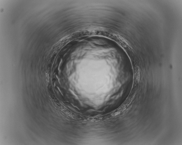 X0000072540821200608041620