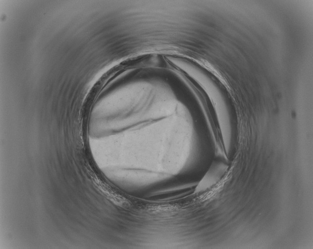 X0000072540830200608041620