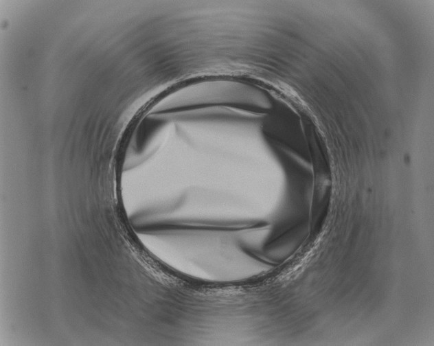 X0000072540838200608041620