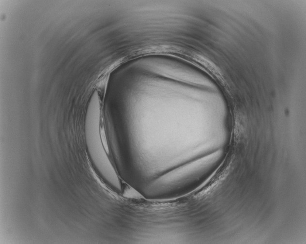 X0000072540849200608041620