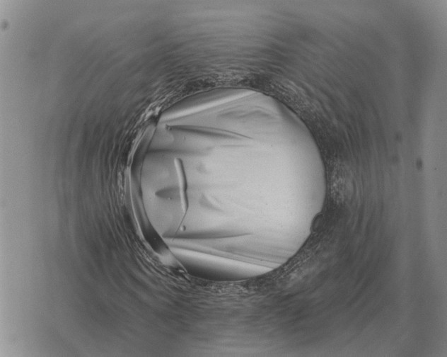 X0000072540866200608041620