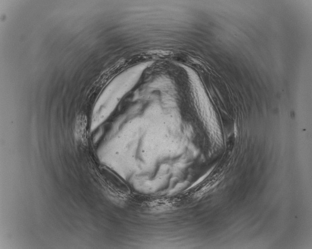X0000072540867200608041620